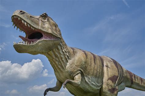 Dinosaur Cloning Might Become Possible: First Healthy Prehistoric